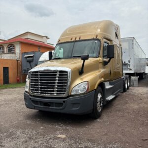CAMIÓN FREIGHTLINER CASCADIA 2014 #307